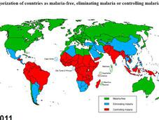 Malaria Vaccine Shows Promise Children: Worldwide Fight Gaining Ground