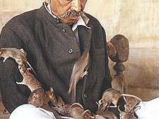 Altruism Religionless Rats