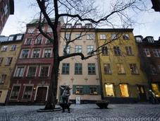 What Rocked Socks Stockholm