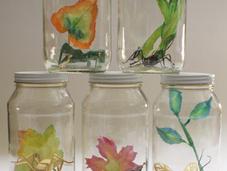Greedy Hen’s Paper Insects
