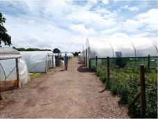 Pepperpot Nursery