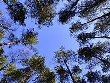 Sustainable Living: Principles, Benefits Examples