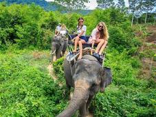 Accidentally Inflicting Animal Cruelty Your Vacation?