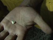 Drug Fears South America