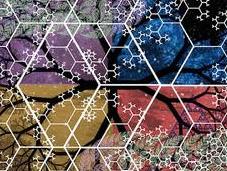 Individuals Often Defy Patterns