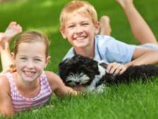 Create Child-Friendly Garden Five Simple Steps