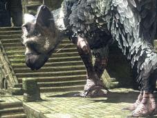 S&S News: Last Guardian “earnest” Development “priority” Present, Says Ueda