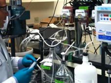 Pilot Project Test Energy Recovery Process From Wastewater Nitrogen