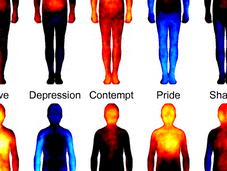 Bodily Maps Emotions.