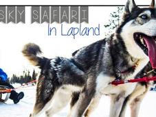 VIDEO: Husky Safari Lapland