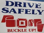 Idiot Proof Tips Driving Safely