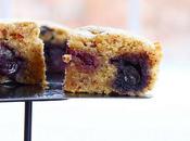 Blueberry Bliss Bars