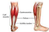Delayed Onset Muscle Soreness DOMS Poor Calves!