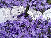 Alice Auction Original Photographic Print SOLD