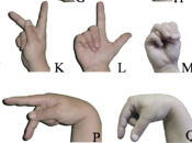 Facts Concerning American Sign Language Foreign