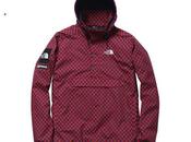 Supreme North Face