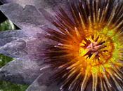 Cool Menopause Relief Stuff