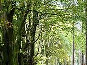 Christmas with Aspie: Present Problem