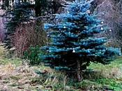 Thank Country Girl…