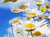 Rainbow That Disappears (part