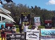 Shepherd Creates “Living Photo Exhibit” Outside SeaWorld During IMATA Protest
