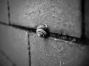 Impatience Hinder Sanctification