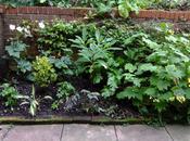 Garden This Weekend 14th September 2014