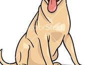 Late Nights Early Mornings