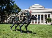 Check MIT’s Robotic Cheetah Action