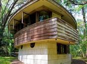 Frank Lloyd Wright's Endangered Spring House