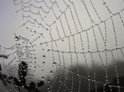 Preaching Divine Wrath: Pair Timeless Wonderful Sermons, New, Bookend Your Weekend