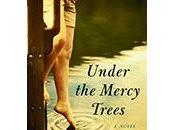 Under Mercy Trees