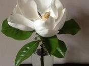 From Full-blown Beauty Petal Fall