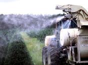 Suicide Depression Among Farmers Linked Pesticides