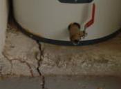 Termites ProBest Pest Management