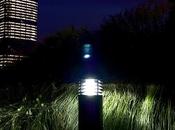 Friday Fotos: Wonderland Night