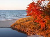 Photography Fall Color Lakeside