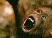 REWIND: Babybird 'The Word'