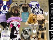 Love Dogs Collage