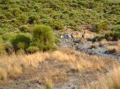 Walking House Hephaestus, Vulcano, Aeolian Islands