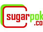 SugarPoke Delicious Goodies Review