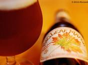 Beer Review Anchor Leaf Maple