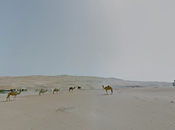 Google Street View Uses Camels Take Stunning Images Arabian Desert
