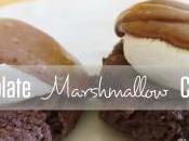 Chocolate Marshmallow Cookies Recipe