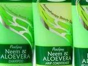 Knowing Some Best Shampoos Oily Hair