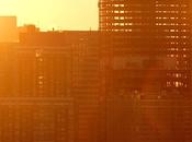 Friday Fotos; Confluence Light