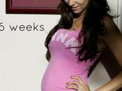 Pregnancy Journal: Weeks