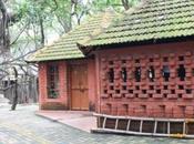 DAILY PHOTO: Outbuildings Under Banyan Tree