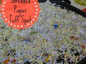 Shredded Paper Tuff Spot