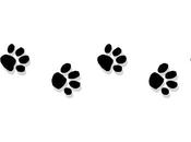 Tale Tails Many Paws